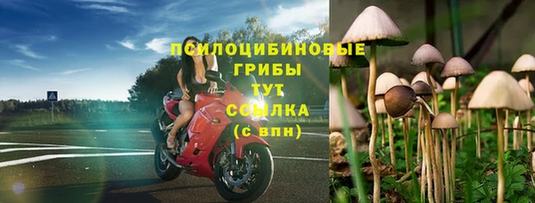 каннабис Алексеевка