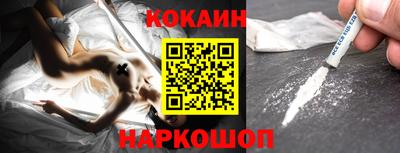 шишки Гай