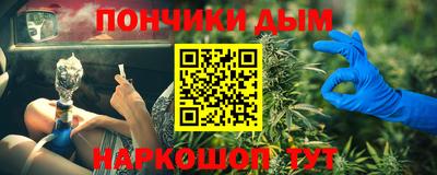 шишки Гай