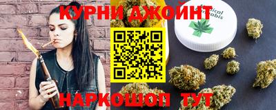 шишки Гай