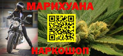 шишки Гай