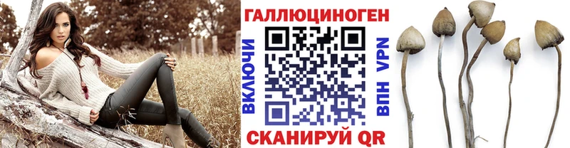 MEGA онион  Усинск  Псилоцибиновые грибы GOLDEN TEACHER 