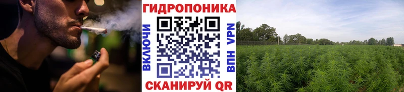 наркотики  Усинск  Конопля семена 